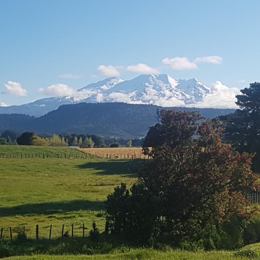 Beech Tree Lodge Ohakune Exterior foto