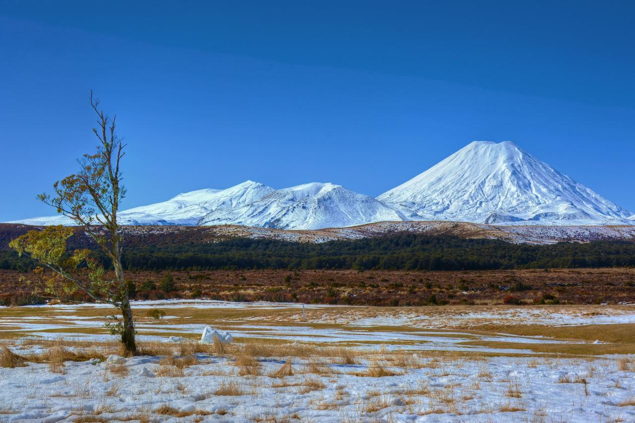 Beech Tree Lodge Ohakune Exterior foto